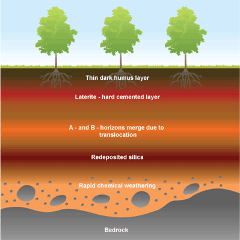 Caracterização de solos